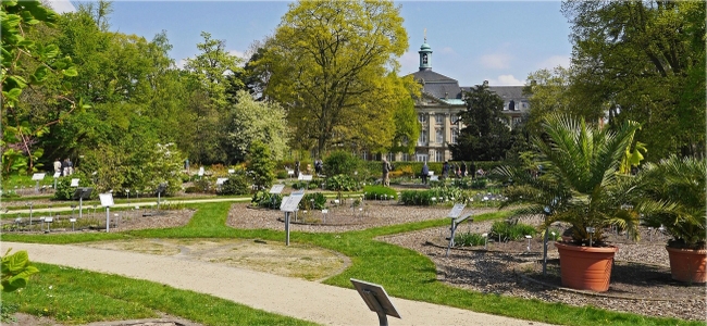 Der botanische Garten im Schlosspark Münster